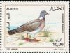 Colnect-5040-678-Wood-Pigeon-Columba-palumbus.jpg