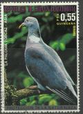 Colnect-2013-550-Wood-Pigeon-Columba-palumbus.jpg