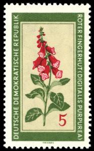 Colnect-1971-499-Digitalis-purpurea.jpg