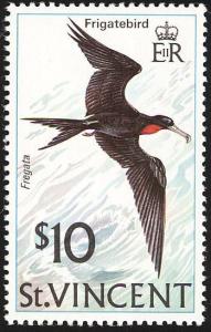 Colnect-1755-554-Magnificent-Frigatebird-Fregata-magnificens.jpg