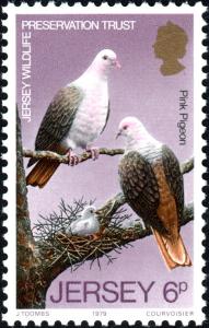 Colnect-5980-902-Pink-Pigeon-Nesoenas-mayeri-.jpg