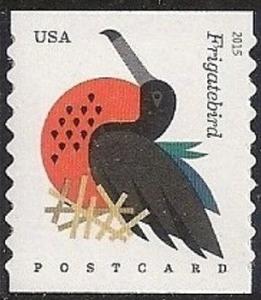 Colnect-2878-284-Magnificent-Frigatebird-Fregata-magnificens.jpg