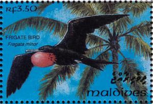 Colnect-1428-099-Great-Frigatebird-Fregata-minor.jpg