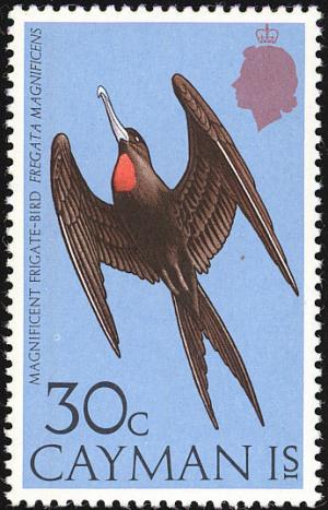 Colnect-1460-754-Magnificent-Frigatebird-Fregata-magnificens.jpg