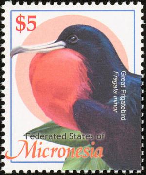 Colnect-1620-595-Great-Frigatebird-Fregata-minor.jpg