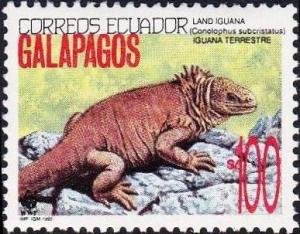 Colnect-1724-471-Galapagos-Land-Iguana-Conolophus-subcristatus.jpg