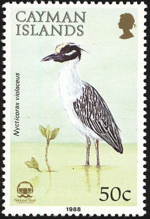 Colnect-2482-370-Yellow-crowned-Night-Heron-Nycticorax-violaceus.jpg