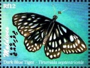 Colnect-3468-558-Dark-Blue-Tiger-Tirumala-septentrionis.jpg