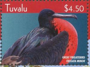 Colnect-4411-839-Great-Frigatebird-Fregata-minor.jpg