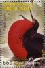 Colnect-1620-611-Great-Frigatebird-Fregata-minor.jpg