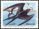 Colnect-1976-342-Magnificent-Frigatebird-Fregata-magnificens.jpg