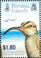 Colnect-2517-363-Head-of-Bristle-thighed-Curlew-Numenius-tahitiensis.jpg