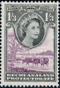 Colnect-2019-957-Queen-Elizabeth-II-Cattle-Bos-primigenius-taurus.jpg