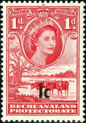 Colnect-6275-939-Queen-Elizabeth-II-Cattle-Bos-primigenius-taurus.jpg