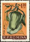 Colnect-4945-235-Paprika-Capsicum-annuum.jpg