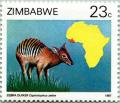 Colnect-3265-621-Zebra-Duiker-Cephalophus-zebra-.jpg