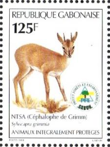 Colnect-2800-839-Gray-Duiker-Sylvicapra-grimmia.jpg