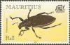 Colnect-1667-533-Weevil-Cratopus-armatus.jpg