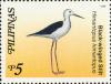 Colnect-2859-104-Black-winged-Stilt-nbsp-Himantopus-himantopus.jpg