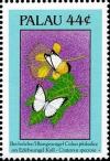 Colnect-3478-002-Colias-philodice-Crataeva-speciosa.jpg