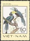 Colnect-3682-055-Black-Hornbill-Anthracoceros-malayanus.jpg