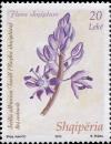 Colnect-3984-376-Squill-Scilla-albanica.jpg