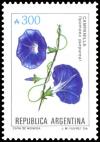 Colnect-4982-857-Campanilla-Ipomoea-purpurea.jpg