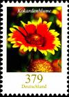 Colnect-5483-958-Gaillardia-pulchella.jpg