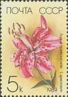 Colnect-580-229-Lilium-speciosum.jpg