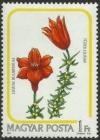 Colnect-604-446-Lilium-bulbiferum.jpg