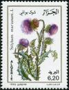 Colnect-722-324-Silybum-marianum.jpg