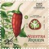 Colnect-7502-308-Serrano-Chili-Pepper-Capsicum-annuum.jpg