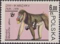 Colnect-1795-081-Mandrill-Mandrillus-sphinx.jpg