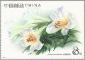 Colnect-4892-885-Lilium-leucanthum.jpg