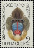 Colnect-6331-208-Mandrill-Mandrillus-sphinx.jpg