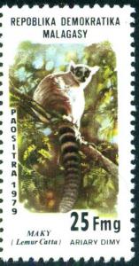 Colnect-4203-430-Ring-tailed-Lemur-Lemur-catta.jpg