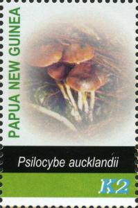 Colnect-3197-731-Psilocybe-aucklandii.jpg