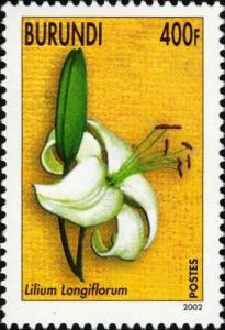 Colnect-1592-976-Lilium-Longiflorum.jpg