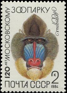 Colnect-6331-208-Mandrill-Mandrillus-sphinx.jpg