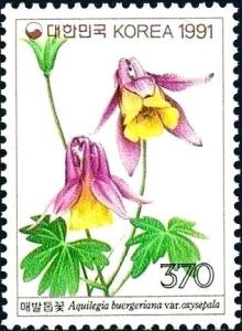 Colnect-5866-217-Aquilegia-buergeriana.jpg