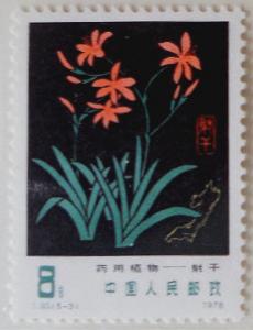 Colnect-2877-477-Leopard-lily-Belamcanda-chinensis.jpg