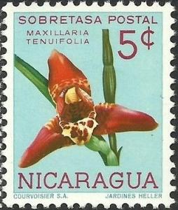 Colnect-2311-828-Maxillaria-tenuifolia.jpg