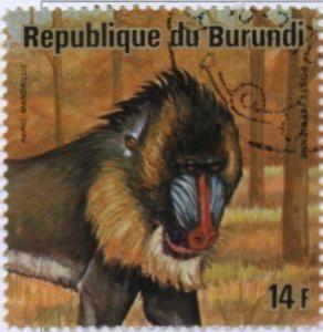 Colnect-1324-110-Mandrill-Mandrillus-sphinx.jpg