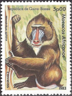 Colnect-1167-109-Mandrill-Mandrillus-sphinx.jpg