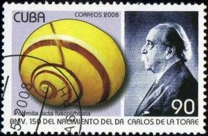 Colnect-1572-851-Cuban-Land-Snail-Polymita-picta-fuscolimbata.jpg