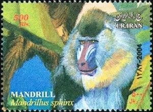 Colnect-1592-488-Mandrill-Mandrillus-sphinx.jpg