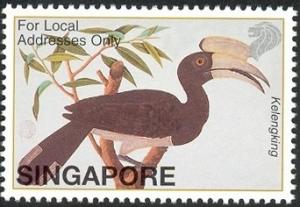 Colnect-1606-827-Black-Hornbill-Anthracoceros-malayanus.jpg