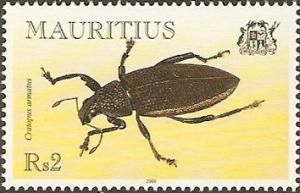 Colnect-1667-533-Weevil-Cratopus-armatus.jpg