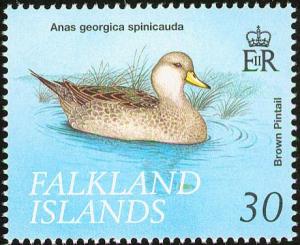 Colnect-1674-613-Chilean-Pintail-Anas-georgica-spinicauda-.jpg