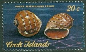 Colnect-1973-961-Sea-Snail-Natica-alapapilionis.jpg